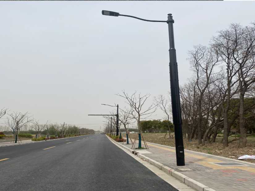 兴仁市上海综合杆 太阳能路灯工程